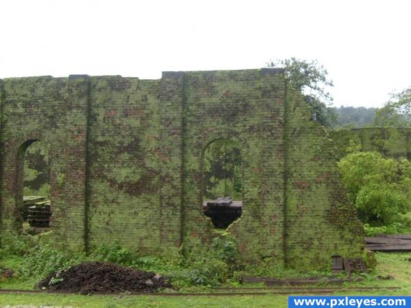mossy wall